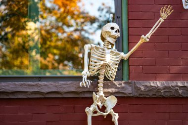 Cadılar Bayramı vitrinleri. Cadılar Bayramı balkabağı ve dekore edilmiş ev için iskelet. Bir Amerikan evinin ön bahçesinde dekore edilmiş korkunç bir şey. Şeker mi şaka mı? Cadılar Bayramı geçmişi. Cadılar Bayramı 'nın sonbahar tatili