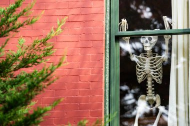 Cadılar Bayramı vitrinleri. Cadılar Bayramı balkabağı ve dekore edilmiş ev için iskelet. Bir Amerikan evinin ön bahçesinde dekore edilmiş korkunç bir şey. Şeker mi şaka mı? Cadılar Bayramı geçmişi. Cadılar Bayramı 'nın sonbahar tatili