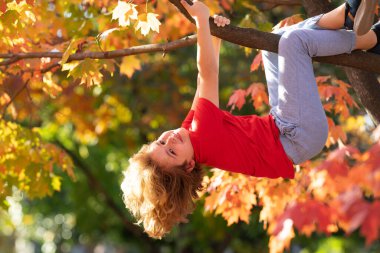 Bahçedeki sonbahar ağacına tırmanan komik çocuk. Sonbahar parkında ağaca tırmanan aktif bir çocuk. Sarı sonbahar yapraklarıyla ağaç dalına baş aşağı tırmanan sevimli çocuk portresi.
