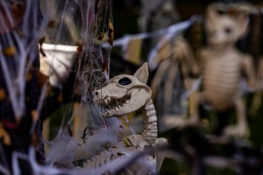 İskelet köpek Cadılar Bayramı süslemeleri. Dekorasyon için cadılar bayramı iskeleti. Bir Amerikan evinin ön bahçesinde dekore edilmiş korkunç köpek iskeletleri. Şeker mi şaka mı? Cadılar Bayramı geçmişi. Cadılar Bayramı Tatili