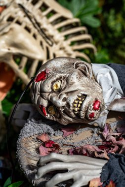 Cadılar Bayramı konsepti Cadılar Bayramı balkabağı ve dekore edilmiş ev için iskelet. Bir Amerikan evinin ön bahçesinde dekore edilmiş korkunç bir şey. Şeker mi şaka mı? Cadılar Bayramı geçmişi. Cadılar Bayramı 'nın sonbahar tatili