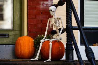 Mutlu Cadılar Bayramı. Cadılar Bayramı balkabağı ve dekore edilmiş ev için iskelet. Evin ön bahçesindeki korkunç dekorasyonlar. Şeker mi şaka mı? Cadılar Bayramı geçmişi. Cadılar Bayramı ve Şükran Günü