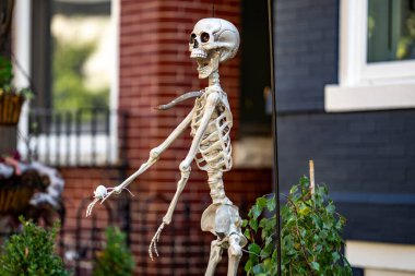 Cadılar Bayramı iskelet süslemeleri. Dekorasyon için cadılar bayramı iskeleti. Bir Amerikan evinin ön bahçesinde dekore edilmiş korkunç bir iskelet. Şeker mi şaka mı? Cadılar Bayramı iskelet arka planı
