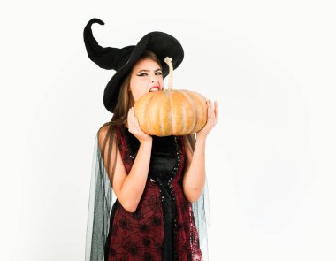 Halloween cadı siyah şapkalı. Kadın kabak ile poz. Kabak kafa jack fener. Hediye ver yoksa karışmam. Genç kadınlarda mutlu: Cadı Cadılar Bayramı partisi üzerinde beyaz izole arka plan üzerinde kostümleri