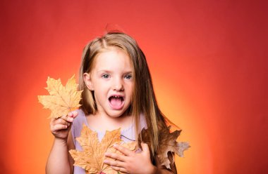 Sonbahar ruh hali ve hava sıcak ve güneşli ve yağmur mümkün sevimli küçük çocuk sonbahar için hazır alıyorsanız. Sonbahar ruh sahip moda mevsimlik giysiler giyen gülümseyen kız