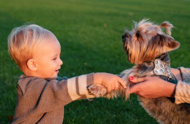 Gerçek arkadaşlık. Sonsuza kadar en iyi arkadaşlar. Mutlu çocukluk. Tatlı çocukluk anıları. Yorkshire terrier köpek ile çocuk oyun. Toddler çocuk köpek arkadaşı ile eğlence keyfini çıkarın. Köpek ile küçük bebek yürümeye başlayan yürüyüş.