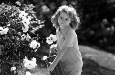 Arka bahçede bitkileri sulayan aktif bir çocuk. Çocuk bitkilerin ve çiçeklerin yetişmesine yardım ediyor. Ekoloji kavramı