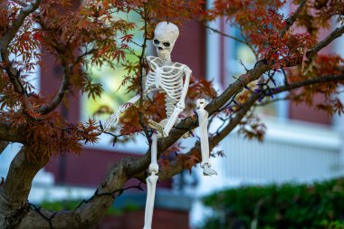 Cadılar Bayramı balkabağı ve dekore edilmiş ev için iskelet. Bir Amerikan evinin ön bahçesinde dekore edilmiş korkunç bir şey. Şeker mi şaka mı? Cadılar Bayramı geçmişi. Cadılar Bayramı 'nın sonbahar tatili. Cadılar Bayramı Tatili