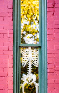 Cadılar Bayramı geçmişi. Cadılar Bayramı balkabağı ve dekore edilmiş ev için iskelet. Bir Amerikan evinin ön bahçesinde dekore edilmiş korkunç bir şey. Şeker mi şaka mı? Cadılar Bayramı geçmişi. Cadılar Bayramı 'nın sonbahar tatili