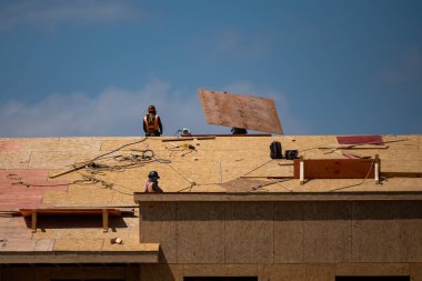 İskeleden ahşap çatı kirişi. İnşaat alanının çatısında. İnşaat alanındaki binanın çatı yapısında çalışan bir çatı tamircisi. Tahta çatı kirişleri. OSB sayfaları için çivi ya da vida damgalanıyor