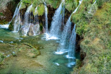 Doğa ve manzara. Ormandaki şelaleler göllere akıyor. Turistler Hırvatistan 'daki ünlü Plitvice parkını ziyaret ettiler. Dağ dereleri temiz suyla doludur. Bir yaz gününde Plitvice Göllerinin Şelaleleri