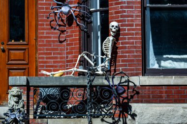 Cadılar Bayramı süslemeleri. Cadılar Bayramı balkabağı ve dekore edilmiş ev için iskelet. Bir Amerikan evinin ön bahçesinde dekore edilmiş korkunç bir şey. Şeker mi şaka mı? Cadılar Bayramı geçmişi. Cadılar Bayramı 'nın sonbahar tatili