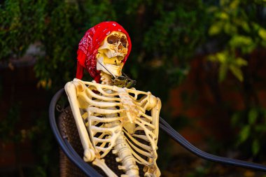 Cadılar Bayramı iskelet süslemeleri. Dekorasyon için cadılar bayramı iskeleti. Bir Amerikan evinin ön bahçesinde dekore edilmiş korkunç bir iskelet. Şeker mi şaka mı? Cadılar Bayramı iskelet arka planı