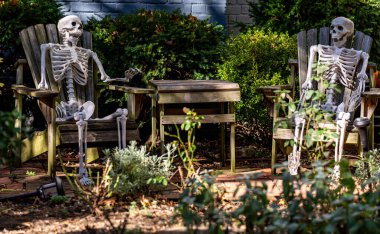 Cadılar Bayramı sezonu. Cadılar Bayramı balkabağı ve dekore edilmiş ev için iskelet. Bir Amerikan evinin ön bahçesinde dekore edilmiş korkunç bir şey. Şeker mi şaka mı? Cadılar Bayramı geçmişi. Cadılar Bayramı 'nın sonbahar tatili