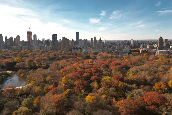 New York Şehri Central Park. Autumn Tree 'nin üst manzarası. İnsansız hava aracından Autumn Central Park manzarası. New York Havacılık, Sonbaharda panorama. Central Park 'ta sonbahar. Central Park Yaprakların Sonbahar Renkleri