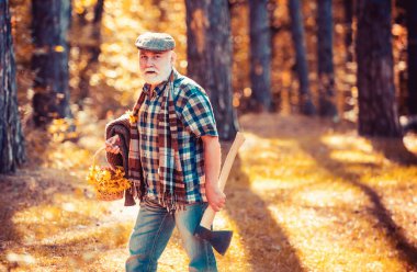 Yaşlı turistler ormanı keşfeder. Yaz kampı. Baltalı yaşlı sakallı adam. Dışarıdaki yaşlı sakallı adam. Yaşlı adam sepetten çiçek topluyor. Yaşlı komik ormancı. Güzel güneşli hava