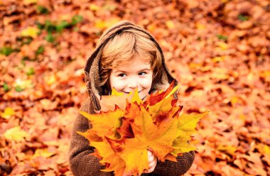 Mutlu çocuk güler ve sonbaharda dışarıda yapraklarla oynar.