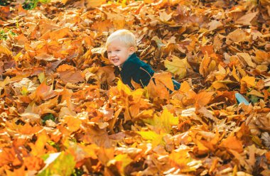 Sonbahar parkında yatan çocuk. Mutlu çocuk düşen yaprakları fırlatıyor, sonbahar parkında oynuyor.