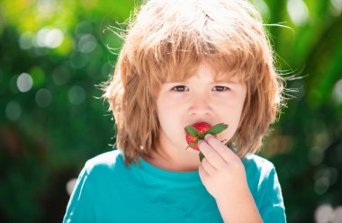 Tatlı çocuk yeşil bahar arka planında çilek yiyor.