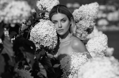 Young sexy woman or girl in blooming bush of hydrangea flowers on natural background in garden. Big white Hydrangeas shrubs flowers. Attractive woman hold bouquet of white hydrangea