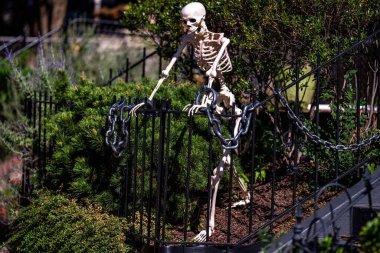 Cadılar Bayramı süslemeleri. Cadılar Bayramı balkabağı ve dekore edilmiş ev için iskelet. Bir Amerikan evinin ön bahçesinde dekore edilmiş korkunç bir şey. Şeker mi şaka mı? Cadılar Bayramı geçmişi. Cadılar Bayramı 'nın sonbahar tatili