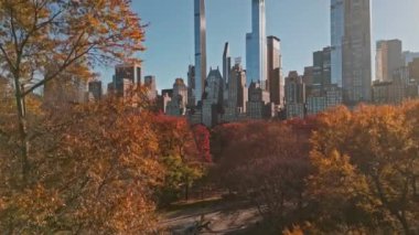 Sonbahar Sonbaharı. İnsansız hava aracından sonbahar Central Park manzarası. Sonbaharda New York City Manhattan Central Park Havalimanı panoraması. New York 'ta sonbahar boyunca Central Park