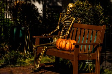 Cadılar Bayramı süslemeleri. Cadılar Bayramı balkabağı ve dekore edilmiş ev için iskelet. Bir Amerikan evinin ön bahçesinde dekore edilmiş korkunç bir şey. Şeker mi şaka mı? Cadılar Bayramı geçmişi. Cadılar Bayramı 'nın sonbahar tatili