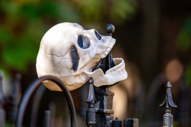 Cadılar Bayramı kafatası süslemeleri. Süslü ev için cadılar bayramı iskeleti. Bir Amerikan evinin ön bahçesinde dekore edilmiş korkunç bir kafatası. Şeker mi şaka mı? Cadılar Bayramı kafatası geçmişi. Cadılar Bayramı Tatili