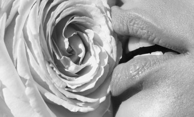 Şefkat yükseldi. Pembe güllü yumuşak doğal dudaklar. Şefkat seksi kadın ağzı. Şefkat ve şefkat. Pembe gül çiçekli güzel yumuşak dudaklar. Spa ve kozmetik ürünleri. Şefkat dokunuşu