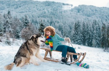 Köpekli çocuk kızakla gezintiye çıkıyor. Kızakla kayıyor, kızakla kayıyor. Çocuklar kışın karda oynarlar. Noel tatili için açık hava çocukları