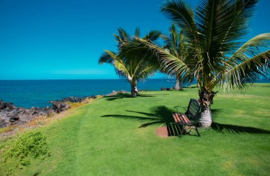 Kum, okyanus, palmiye yaprakları, palmiye ağaçları ve mavi gökyüzü olan tropik deniz plajı. Yaz sahili geçmişi
