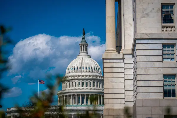 stock image USA. Washington DC Capitol. Congress. American Capitol Building. United States Capital. Washington, US landmark. Supreme Court. Washington monument. Washington city