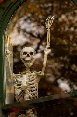 Cadılar Bayramı iskelet süslemeleri. Dekorasyon için cadılar bayramı iskeleti. Bir Amerikan evinin ön bahçesinde dekore edilmiş korkunç bir iskelet. Şeker mi şaka mı? Cadılar Bayramı iskelet arka planı