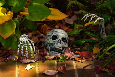 Cadılar Bayramı Kutlaması. Cadılar Bayramı balkabağı ve dekore edilmiş ev için iskelet. Bir Amerikan evinin ön bahçesinde dekore edilmiş korkunç bir şey. Şeker mi şaka mı? Cadılar Bayramı geçmişi. Cadılar Bayramı 'nın sonbahar tatili