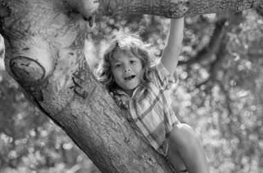 Funny child climbing a tree in the garden. Active kid playing outdoors. Portrait of cute kid boy sitting on the branch tree on summer day