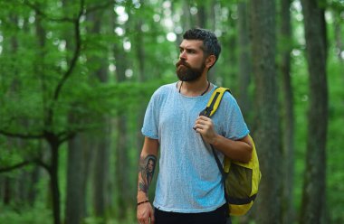 Hiker with backpack hiking in beautiful forest. Man hiking in countryside