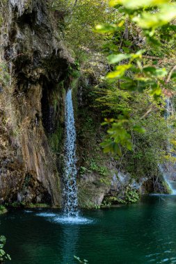 Plitvice Lakes Ulusal Parkı. Hırvatistan. Büyük şelaleler. Doğa yolculuğu geçmişi. Güzel doğa. Park UNESCO 'nun Dünya Mirası Bölgesi