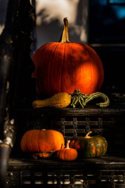 Cadılar Bayramı. Cadılar Bayramı balkabağı ve dekore edilmiş ev için iskelet. Bir Amerikan evinin ön bahçesinde dekore edilmiş korkunç bir şey. Şeker mi şaka mı? Cadılar Bayramı geçmişi. Cadılar Bayramı 'nın sonbahar tatili