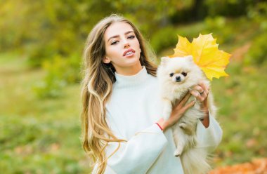 Sonbahar akçaağaç yaprağında köpekli kız. Duygusal destek için. Doğada güzel sonbahar zamanı