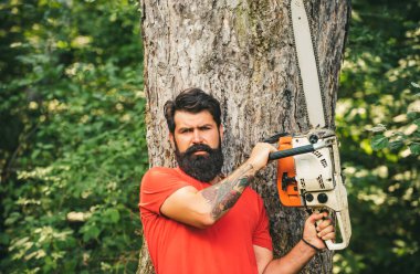 Oduncu işçi ormanda elektrikli testereyle dikiliyor. Ormanların tahrip edilmesi doğal ekosistemlerin bozulması ve istikrarsızlaşmasının başlıca nedenlerinden biridir.
