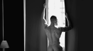 Muscular male torso, bare shoulders. Nude man in a bedroom. Young sexy body of strong man at morning. Muscular man in hotel room on window curtains. Shirtless topless sexy male model posing indoor