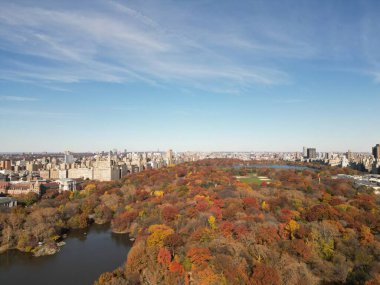 Central Park 'ın sonbaharında, şehir merkezindeki gökdelenler insansız hava aracı manzaralı. Sonbaharda New York City Manhattan Central Park Havalimanı panoraması. Central Park 'ta sonbahar. Sonbahar New York. Central Park Sonbahar Yeşilliği