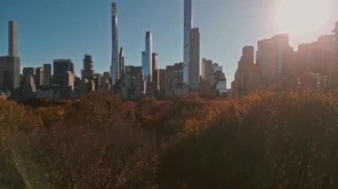 New York Şehri Central Park. Autumn Tree 'nin üst manzarası. İnsansız hava aracından Autumn Central Park manzarası. New York Havacılık, Sonbaharda panorama. Central Park 'ta sonbahar. Central Park Yaprakların Sonbahar Renkleri