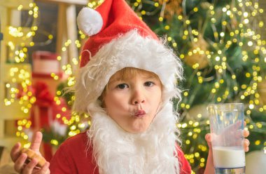 Santa holding cookie and glass of milk on Christmas tree background. Santa Claus holding Christmas cookies and milk against Christmas tree background. Little boy Santa Claus
