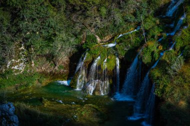 Hırvatistan 'daki Plitvice Göllerinde Güzel Şelale. Ormandaki şelaleler. Yaz manzaralı güzel şelaleler ve berrak göl. Plitvice Lakes Ulusal Parkı, Hırvatistan. Yaz doğa manzarası