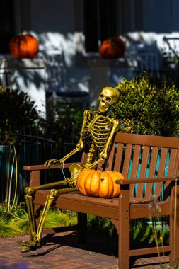 Cadılar Bayramı iskelet süslemeleri. Dekorasyon için cadılar bayramı iskeleti. Bir Amerikan evinin ön bahçesinde dekore edilmiş korkunç bir iskelet. Şeker mi şaka mı? Cadılar Bayramı iskelet arka planı
