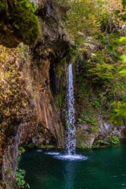 Hırvatistan 'daki Plitvice Göllerinde Şelale. Ormandaki şelaleler. Yaz manzaralı güzel şelaleler ve berrak göl. Plitvice Lakes Ulusal Parkı, Hırvatistan. Yaz doğa manzarası