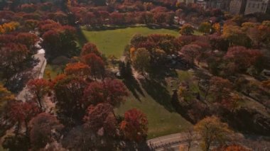 New York Şehri Central Park. Autumn Tree 'nin üst manzarası. İnsansız hava aracından Autumn Central Park manzarası. New York Havacılık, Sonbaharda panorama. Central Park 'ta sonbahar. Central Park Yaprakların Sonbahar Renkleri