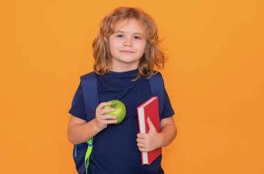 Öğrenci, inek öğrenci. Kitap ve elmalı okul çocuğu. Öğrenci okulu. İlkokul çocuğu. Sarı izole edilmiş arka planda komik bir öğrencinin portresi