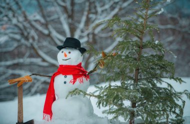 Kış ormanında baltalı Kardan Adam Oduncusu. Kardan adam bir Noel ağacı taşıyor. Noel arifesinde kozalak satın alıp teslim etmek